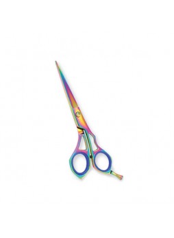 Professional Hair Cutting Scissors